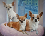 three chihuahuas dogs oil on canvas portrait sitting on cushion by window