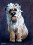 long haired brown dog oil on canvas portrait
