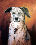spotty dog oil on canvas portrait