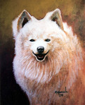 long haired white dog oil on canvas portrait
