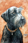 hairy black dog portrait watercolour