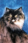 hairy cat portrait watercolour