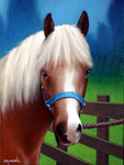 long haired brown horse portrait oil on canvas