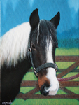 long haired horse portrait oil on canvas